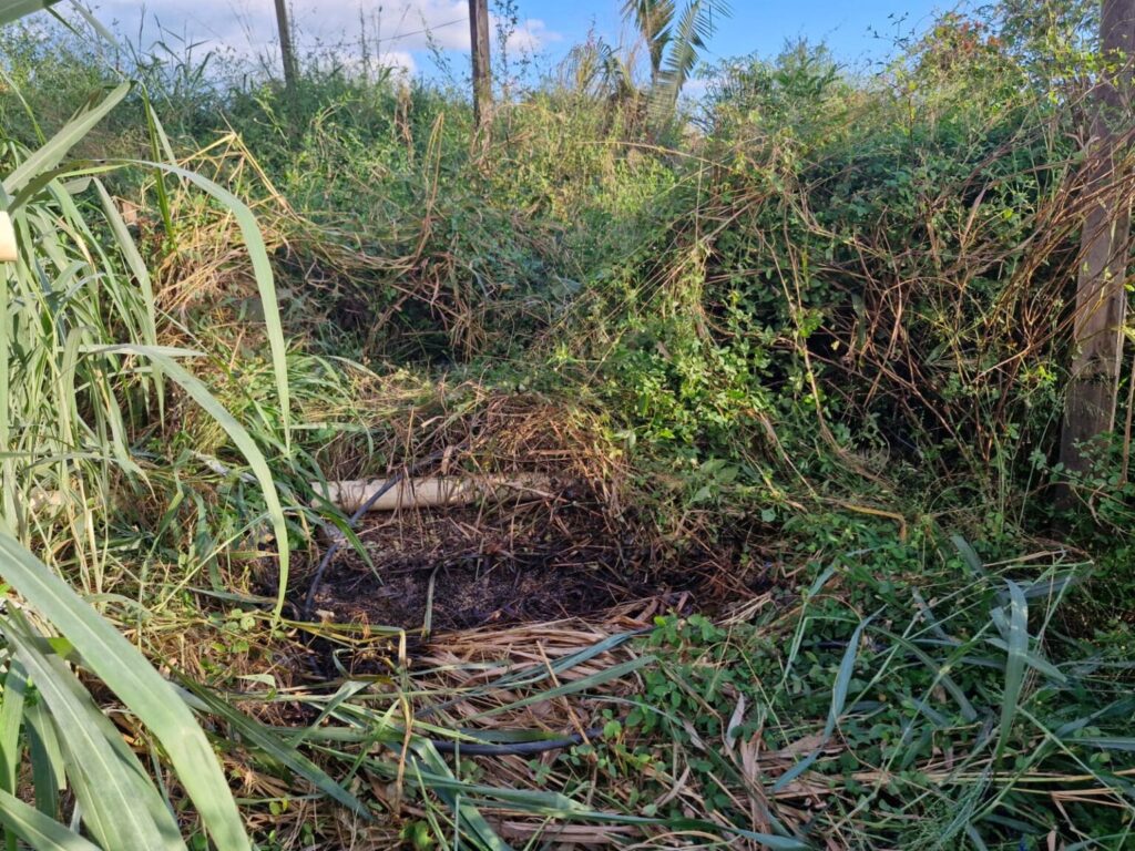 b6ffeaca-a34c-45c6-b94a-a909bde68582-1536x1152 (1)